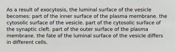 As a result of exocytosis, the luminal surface of the vesicle becomes: part of the inner surface of the plasma membrane. the cytosolic surface of the vesicle. part of the cytosolic surface of the synaptic cleft. part of the outer surface of the plasma membrane. the fate of the luminal surface of the vesicle differs in different cells.