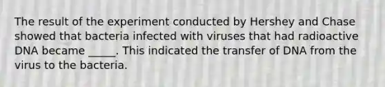 The result of the experiment conducted by Hershey and Chase showed that bacteria infected with viruses that had radioactive DNA became _____. This indicated the transfer of DNA from the virus to the bacteria.