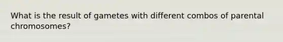 What is the result of gametes with different combos of parental chromosomes?