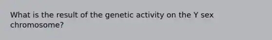 What is the result of the genetic activity on the Y sex chromosome?