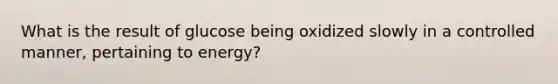 What is the result of glucose being oxidized slowly in a controlled manner, pertaining to energy?