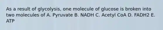 As a result of glycolysis, one molecule of glucose is broken into two molecules of A. Pyruvate B. NADH C. Acetyl CoA D. FADH2 E. ATP