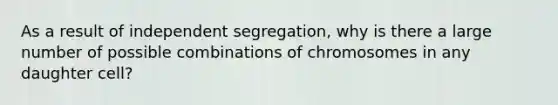 As a result of independent segregation, why is there a large number of possible combinations of chromosomes in any daughter cell?