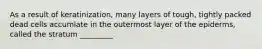 As a result of keratinization, many layers of tough, tightly packed dead cells accumlate in the outermost layer of the epiderms, called the stratum _________