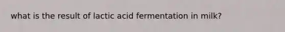 what is the result of lactic acid fermentation in milk?