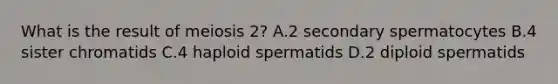 What is the result of meiosis 2? A.2 secondary spermatocytes B.4 sister chromatids C.4 haploid spermatids D.2 diploid spermatids