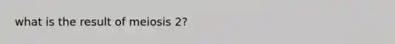 what is the result of meiosis 2?