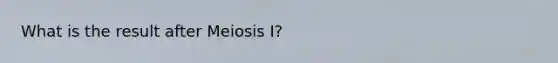 What is the result after Meiosis I?