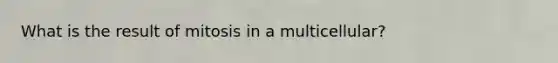 What is the result of mitosis in a multicellular?