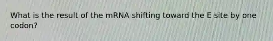 What is the result of the mRNA shifting toward the E site by one codon?