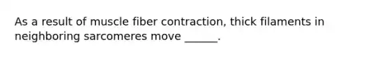 As a result of muscle fiber contraction, thick filaments in neighboring sarcomeres move ______.