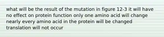 what will be the result of the mutation in figure 12-3 it will have no effect on protein function only one amino acid will change nearly every amino acid in the protein will be changed translation will not occur