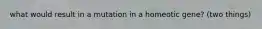 what would result in a mutation in a homeotic gene? (two things)