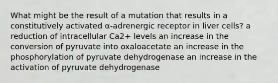 What might be the result of a mutation that results in a constitutively activated α-adrenergic receptor in liver cells? a reduction of intracellular Ca2+ levels an increase in the conversion of pyruvate into oxaloacetate an increase in the phosphorylation of pyruvate dehydrogenase an increase in the activation of pyruvate dehydrogenase