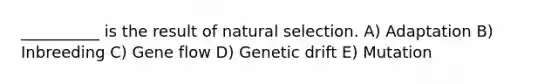 __________ is the result of natural selection. A) Adaptation B) Inbreeding C) Gene flow D) Genetic drift E) Mutation