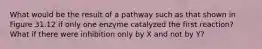 What would be the result of a pathway such as that shown in Figure 31.12 if only one enzyme catalyzed the first reaction? What if there were inhibition only by X and not by Y?