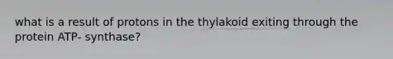 what is a result of protons in the thylakoid exiting through the protein ATP- synthase?