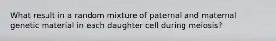 What result in a random mixture of paternal and maternal genetic material in each daughter cell during meiosis?