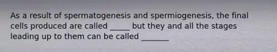 As a result of spermatogenesis and spermiogenesis, the final cells produced are called _____ but they and all the stages leading up to them can be called _______