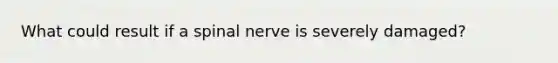 What could result if a spinal nerve is severely damaged?