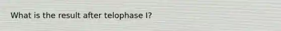 What is the result after telophase I?