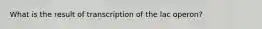 What is the result of transcription of the lac operon?