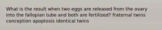 What is the result when two eggs are released from the ovary into the fallopian tube and both are fertilized? fraternal twins conception apoptosis identical twins