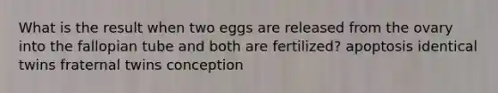 What is the result when two eggs are released from the ovary into the fallopian tube and both are fertilized? apoptosis identical twins fraternal twins conception