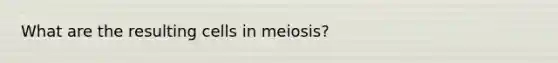 What are the resulting cells in meiosis?