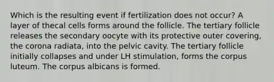 Which is the resulting event if fertilization does not occur? A layer of thecal cells forms around the follicle. The tertiary follicle releases the secondary oocyte with its protective outer covering, the corona radiata, into the pelvic cavity. The tertiary follicle initially collapses and under LH stimulation, forms the corpus luteum. The corpus albicans is formed.