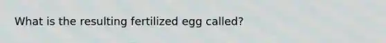 What is the resulting fertilized egg called?