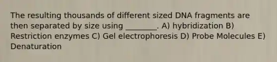 The resulting thousands of different sized DNA fragments are then separated by size using ________. A) hybridization B) Restriction enzymes C) Gel electrophoresis D) Probe Molecules E) Denaturation