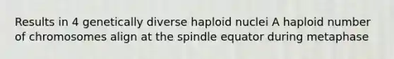 Results in 4 genetically diverse haploid nuclei A haploid number of chromosomes align at the spindle equator during metaphase