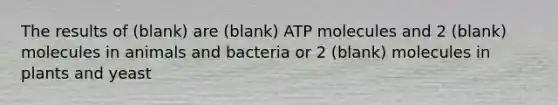 The results of (blank) are (blank) ATP molecules and 2 (blank) molecules in animals and bacteria or 2 (blank) molecules in plants and yeast