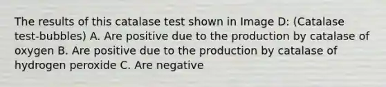 The results of this catalase test shown in Image D: (Catalase test-bubbles) A. Are positive due to the production by catalase of oxygen B. Are positive due to the production by catalase of hydrogen peroxide C. Are negative