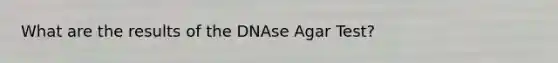 What are the results of the DNAse Agar Test?