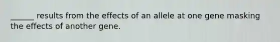 ______ results from the effects of an allele at one gene masking the effects of another gene.