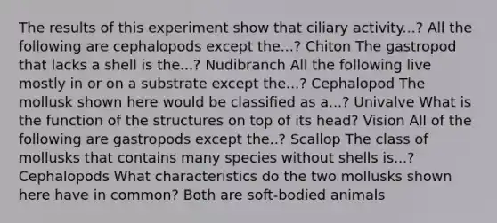 The results of this experiment show that ciliary activity...? All the following are cephalopods except the...? Chiton The gastropod that lacks a shell is the...? Nudibranch All the following live mostly in or on a substrate except the...? Cephalopod The mollusk shown here would be classiﬁed as a...? Univalve What is the function of the structures on top of its head? Vision All of the following are gastropods except the..? Scallop The class of mollusks that contains many species without shells is...? Cephalopods What characteristics do the two mollusks shown here have in common? Both are soft-bodied animals