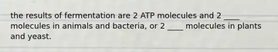 the results of fermentation are 2 ATP molecules and 2 ____ molecules in animals and bacteria, or 2 ____ molecules in plants and yeast.