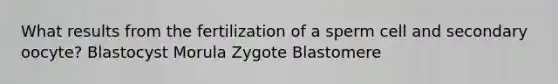 What results from the fertilization of a sperm cell and secondary oocyte? Blastocyst Morula Zygote Blastomere