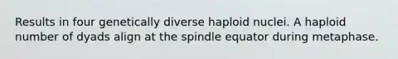 Results in four genetically diverse haploid nuclei. A haploid number of dyads align at the spindle equator during metaphase.