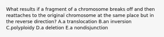 What results if a fragment of a chromosome breaks off and then reattaches to the original chromosome at the same place but in the reverse direction? A.a translocation B.an inversion C.polyploidy D.a deletion E.a nondisjunction