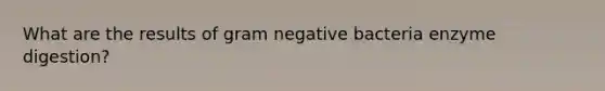 What are the results of gram negative bacteria enzyme digestion?