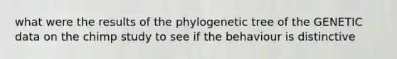 what were the results of the phylogenetic tree of the GENETIC data on the chimp study to see if the behaviour is distinctive