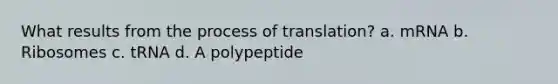 What results from the process of translation? a. mRNA b. Ribosomes c. tRNA d. A polypeptide