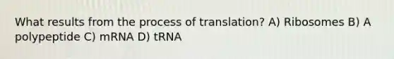 What results from the process of translation? A) Ribosomes B) A polypeptide C) mRNA D) tRNA