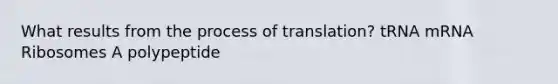 What results from the process of translation? tRNA mRNA Ribosomes A polypeptide