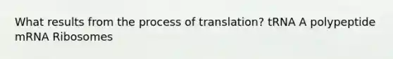 What results from the process of translation? tRNA A polypeptide mRNA Ribosomes