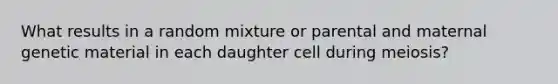 What results in a random mixture or parental and maternal genetic material in each daughter cell during meiosis?