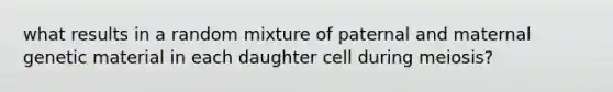 what results in a random mixture of paternal and maternal genetic material in each daughter cell during meiosis?